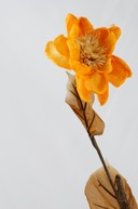 Floara exotica uscata- Culoare portocalie