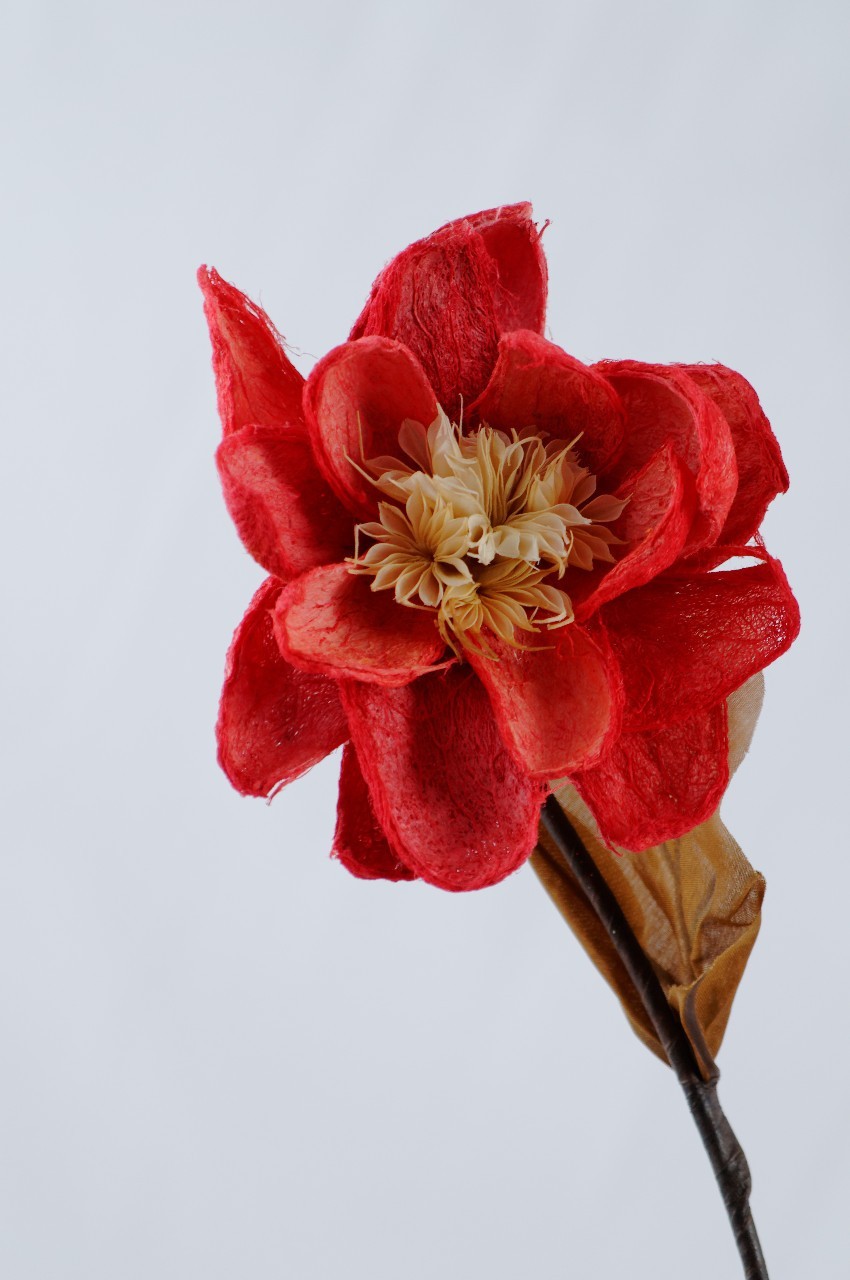 Floare exotica uscata - Culoare rosie