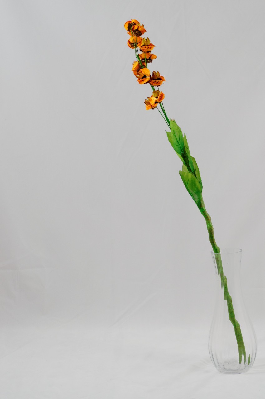 Floare exotica uscata - Culoare portocalie