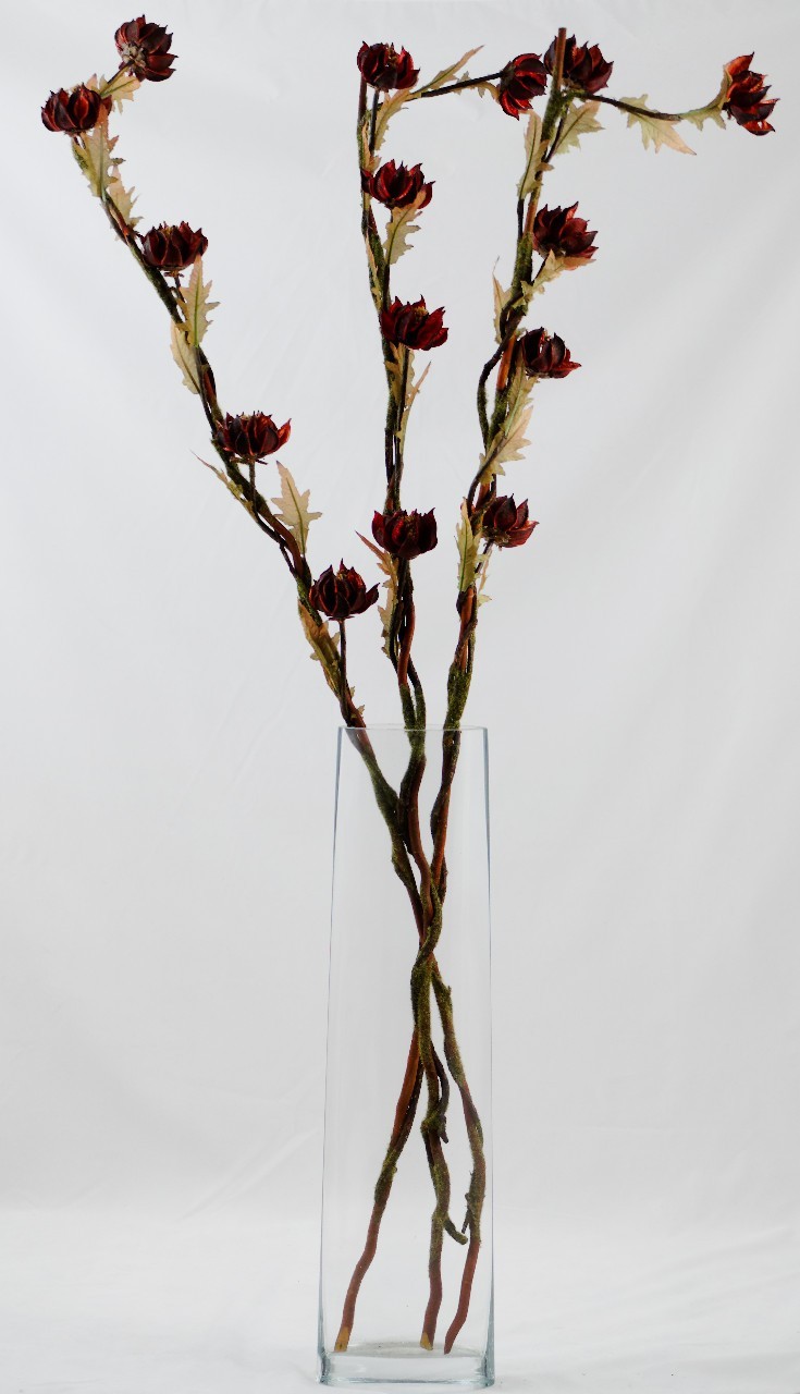 Floare exotica uscata - Culoare bordeaux