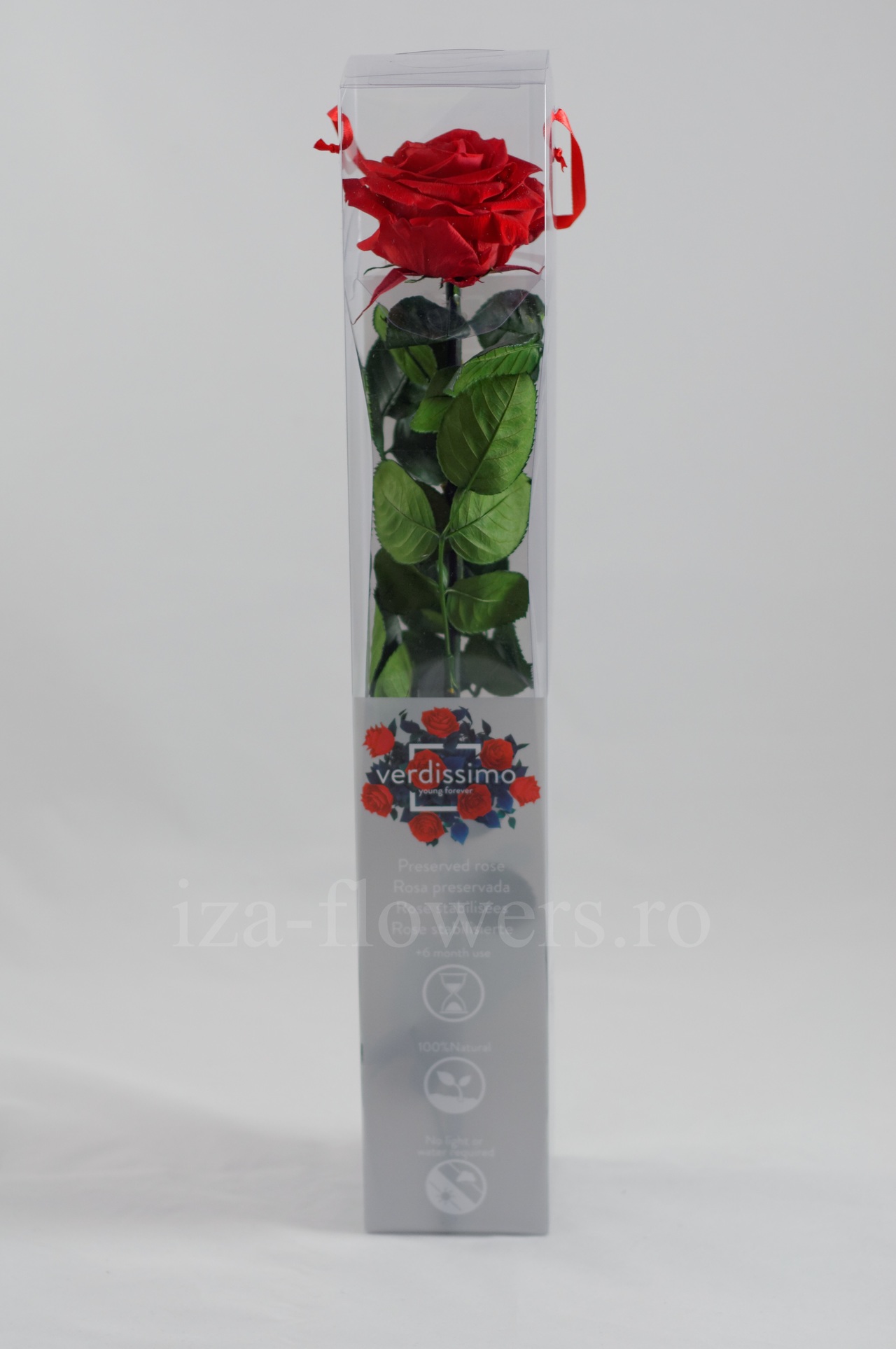 Trandafir criogenat Premium Rosu