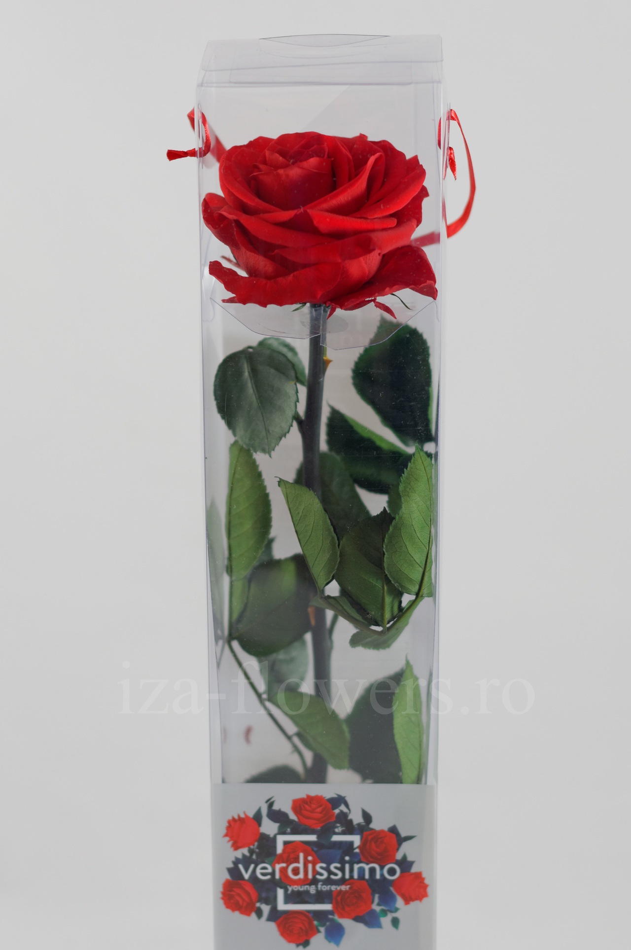 Trandafir criogenat Premium Rosu