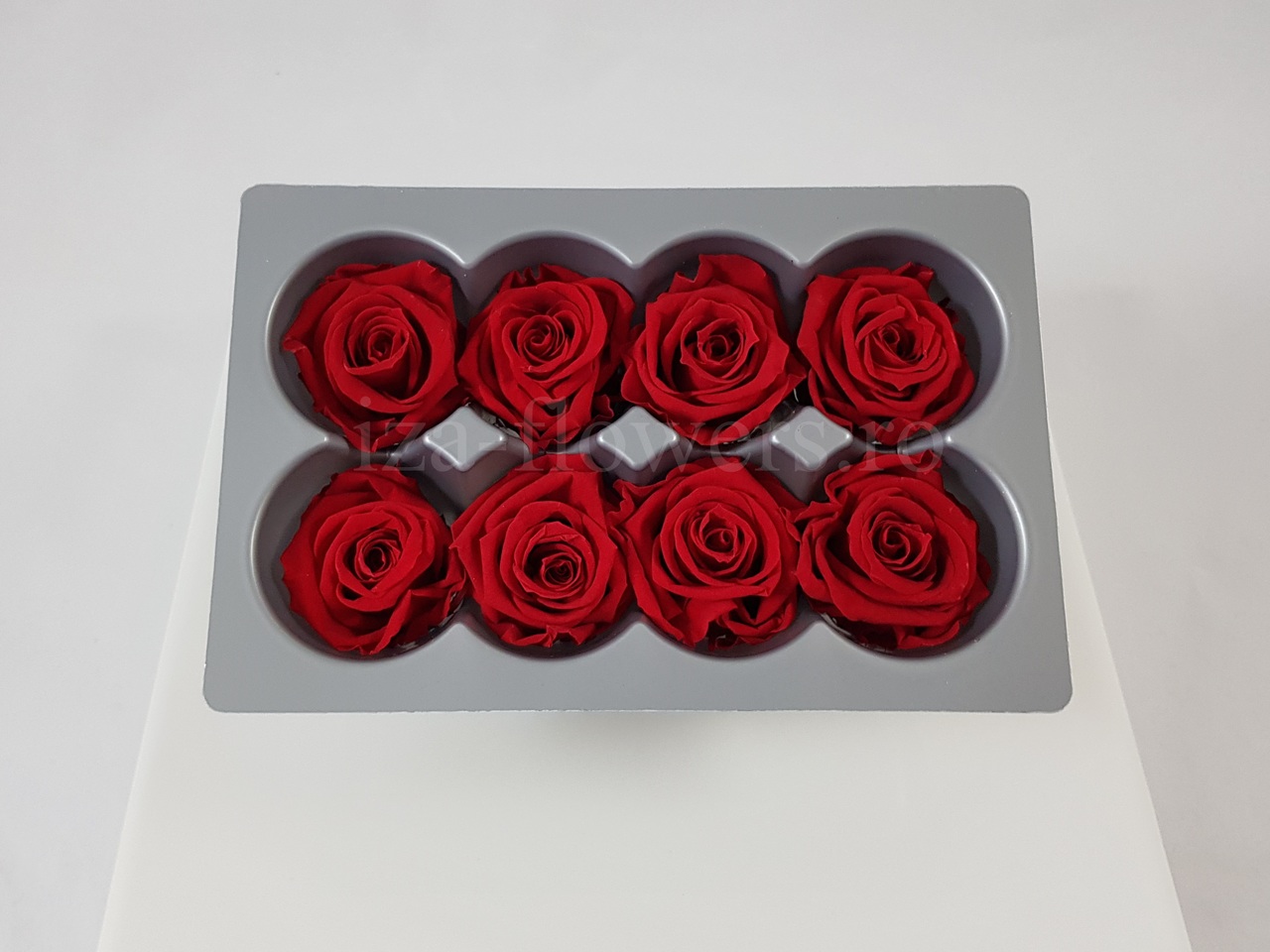 Cutie 8 capete trandafiri criogenati rosii