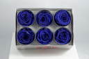 Cutie 6 capete trandafiri criogenati albastrii Extra