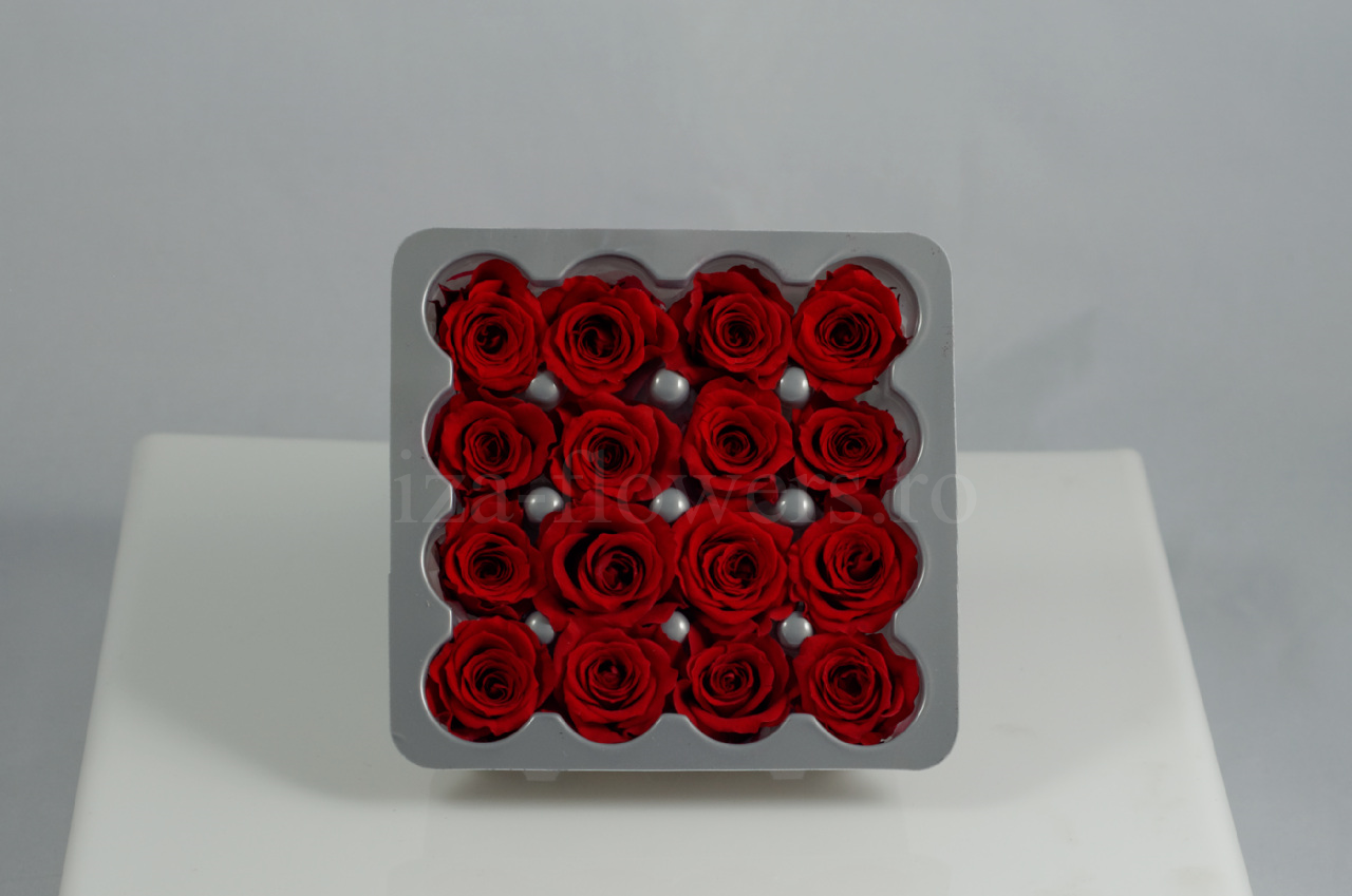 Cutie 16 capete trandafiri criogenati rosii